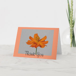 Carte de voeux Orange Cosmos Merci