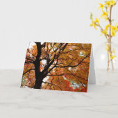 Carte de voeux orange d'arbre d'automne (blanc à (Fleur jaune)