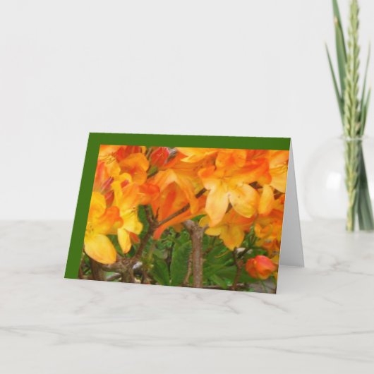 Carte de voeux orange de plaisir de soleil (Devant)