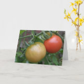 Carte de voeux orange et rouge de tomates (Fleur jaune)