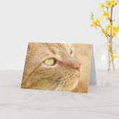 Carte de voeux Orange Tabby (Fleur jaune)