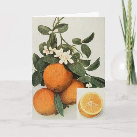 Carte de voeux ORANGES (Devant)