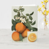 Carte de voeux ORANGES (Fleur jaune)