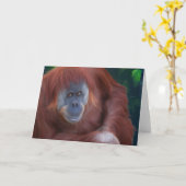 Carte de voeux Orangoutan (Fleur jaune)