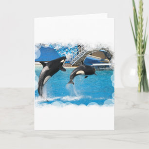 Carte de voeux Orca Whales