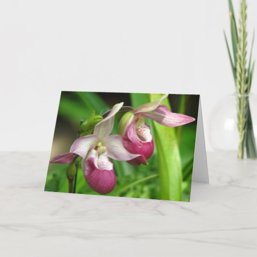 Carte de voeux Orchidée (Devant)