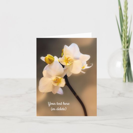 Carte de vœux Orchidée Blanche (Devant)