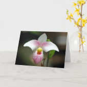 Carte de voeux Orchidée blanche/rose (Fleur jaune)
