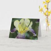 Carte de voeux orchidée rare (Fleur jaune)