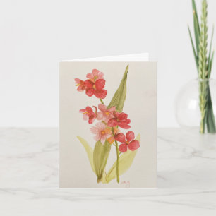 Carte de vœux Orchidée Rouge pliée