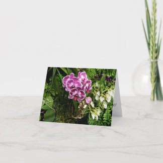 Carte de vœux Orchidées Toutes Occasions