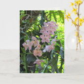 Carte de voeux Orchids (Fleur jaune)