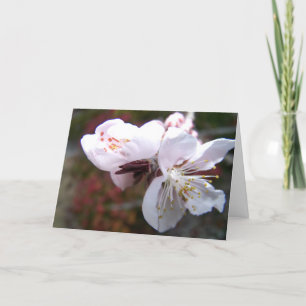 Carte de voeux Oriental Peach Bloom