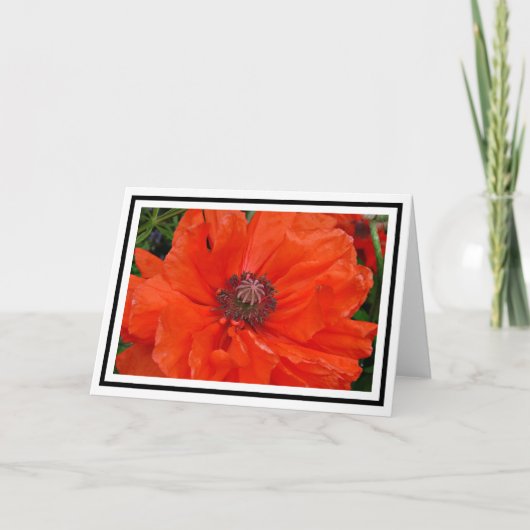 Carte de voeux Oriental Poppy (Devant)