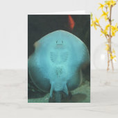 Carte de voeux originale de rayon de Manta (Fleur jaune)