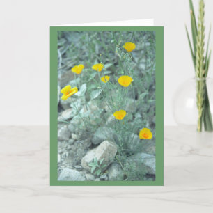 Carte de voeux ou carte de billets pour les fleurs