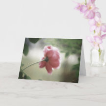 Carte de vœux ou de notes pour toutes occasions