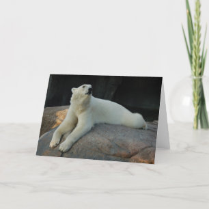 Carte de voeux Ours polaire
