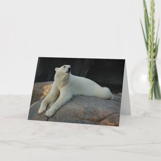 Carte de voeux Ours polaire (Devant)