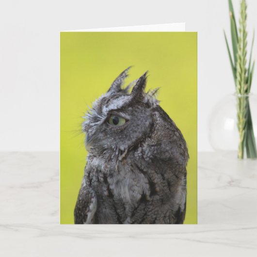 Carte de voeux Owl (Devant)