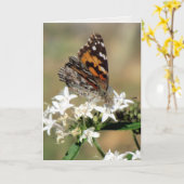 Carte de voeux Painted Lady on Pentas (8988) (Fleur jaune)