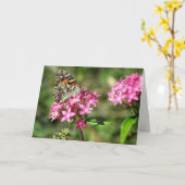 Carte de voeux Painted Lady on Pentas (8999) (Fleur jaune)