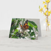 Carte de voeux Painted Lady on Pentas (9862) (Fleur jaune)