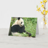 Carte de voeux Panda (Fleur jaune)
