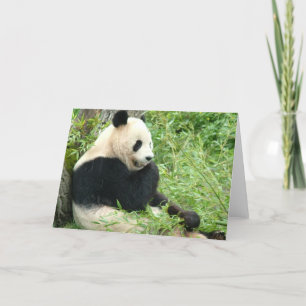 Carte de voeux Panda
