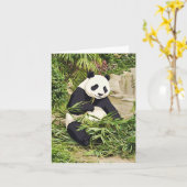 Carte de vœux panda mangeant du bambou (Fleur jaune)