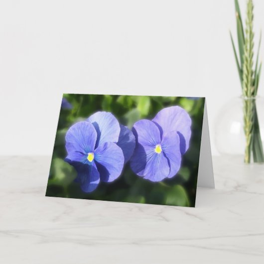 Carte de voeux - Pansies bleues (Devant)