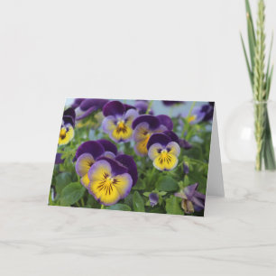 Carte de voeux Pansy