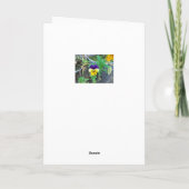 Carte de voeux Pansy violet et jaune (Dos)