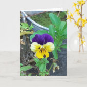 Carte de voeux Pansy violet et jaune (Fleur jaune)