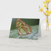 Carte de vœux papillon (Fleur jaune)