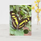 Carte de vœux Papillon Coloré (Fleur jaune)