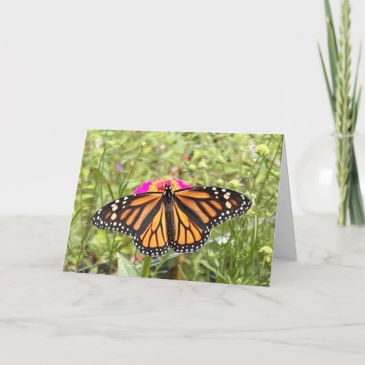 Carte de vœux Papillon Coloré (Devant)