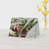 Carte de vœux Papillon Coloré (Fleur jaune)