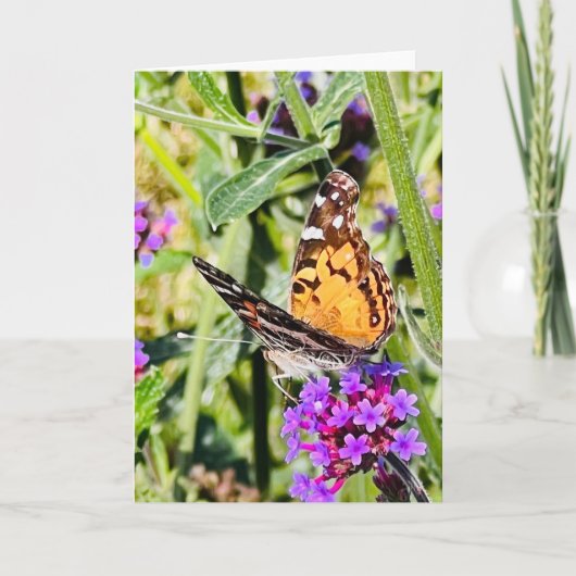 Carte de vœux Papillon Coloré (Devant)