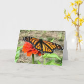 Carte de vœux Papillon Coloré  (Fleur jaune)