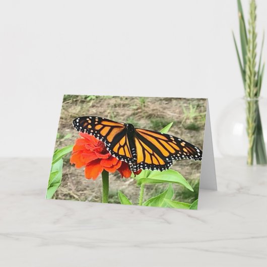 Carte de vœux Papillon Coloré  (Devant)