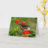 Carte de voeux - Papillon dans le jardin à Stowe (Fleur jaune)