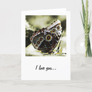 Carte de vœux papillon je t'aime