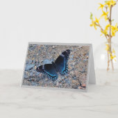 Carte de voeux - Papillon Swallowtail (Fleur jaune)