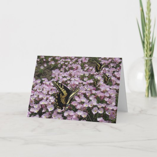 Carte de voeux - Papillons et fleurs (Devant)