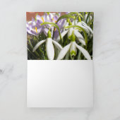 Carte de voeux Pâques Crocus (Intérieur)