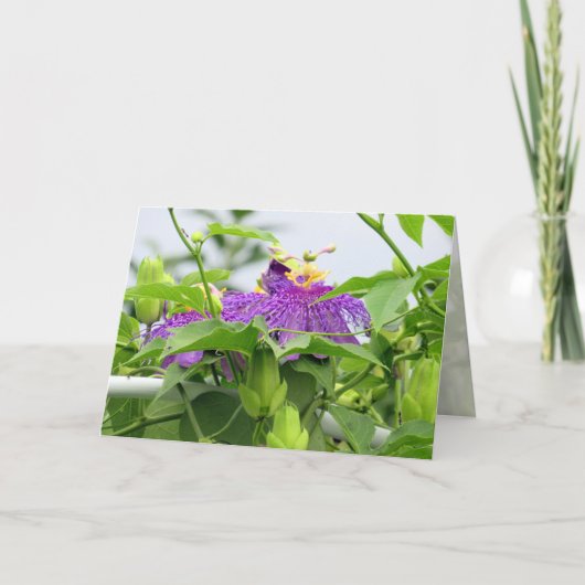 Carte de voeux Passionvine (Devant)