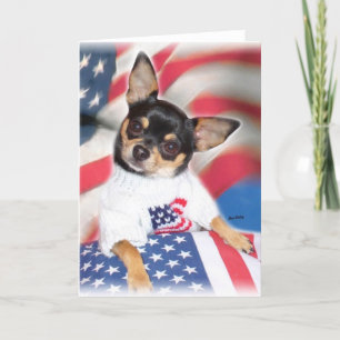 Carte de voeux Patriotic Chihuahua