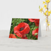 Carte de voeux - pavots rouges (Fleur jaune)