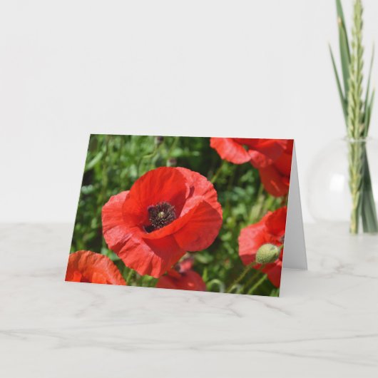 Carte de voeux - pavots rouges (Devant)